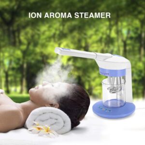 Ion Vapour Steamer