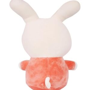 Cute & Adorable Bunny RABBIT LONG EAR | Fluffy & Soft Stuffed Animal Plush Toy For Kids - 25 CM (Random color)