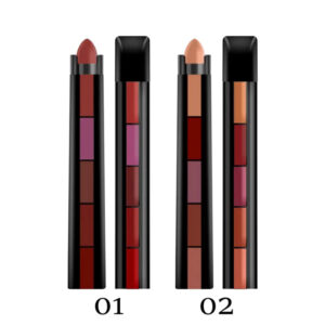 Pack of 2 - 5 in 1 Lipstick Set of 10 Colors