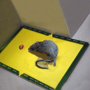 Mouse and Rat Glue Board (Book Type)