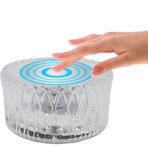 Mega Power LED Bird Nested Crystal Lamp Table Lamp, 16 Color Changing RGB Touch+Remote Control.