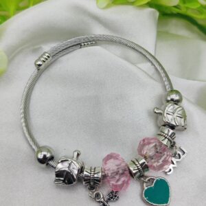 1 Piece Imported Elegant Pandora Bracelet with Heart & Love Charms  ✨ | Best Quality Bracelet For Girls & Women | Girls & Women Jewellery