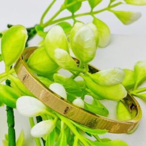 Cartier-Inspired Adjustable and Imported Gold Bangle Bracelet | Best Quality Bracelet For Girls & Women | Artificial Bracelet