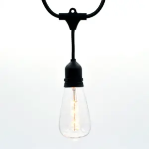 Indoor/Outdoor Plug-in LED String Light, w/ ST64 - Novelty Bulbs, Black - Each